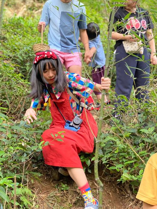 梦见女人梦见捡核桃