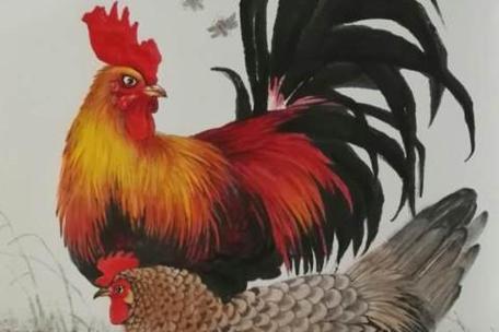 辛丑年运程:2021年属鸡的人桃花运好吗