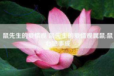 属鼠人会用什么方式向心爱的人告白