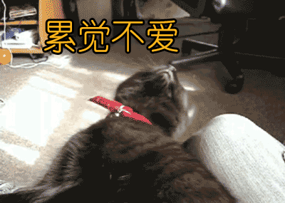 你哪一点容易让男友累觉不爱呢