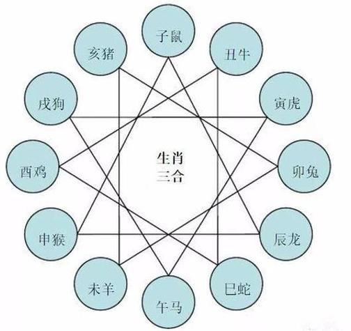 生肖蛇的性格特征大盘点