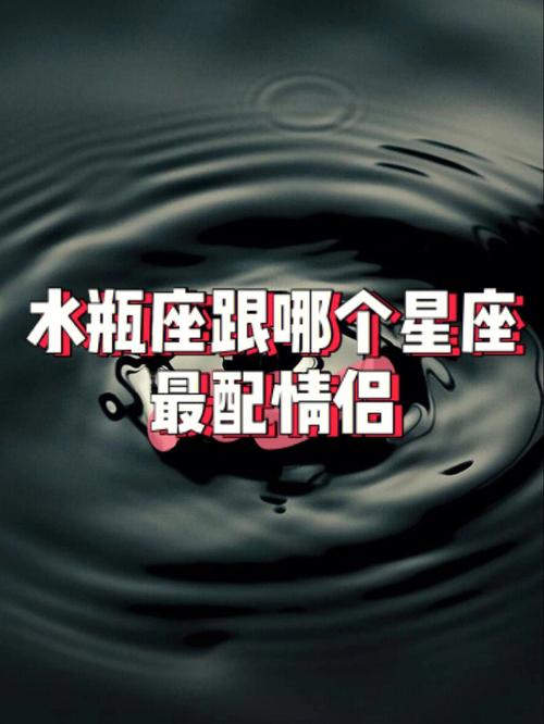 水瓶座和什么座最配