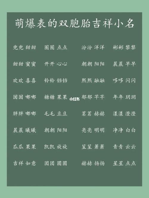 男双胞胎起名的成语借鉴法