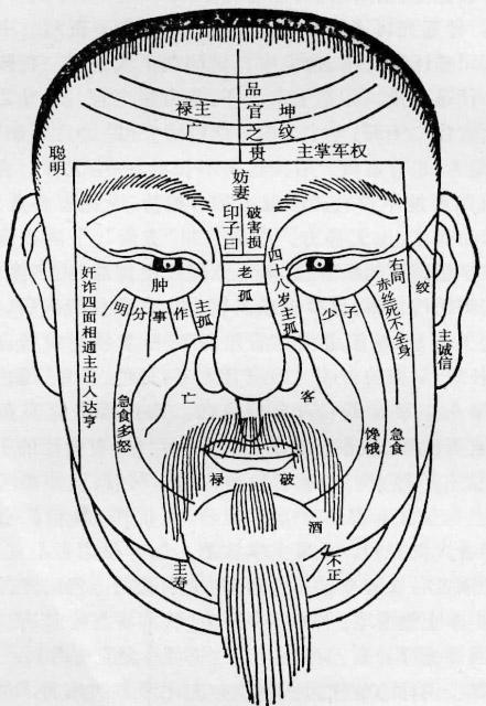 面相额头算命图解