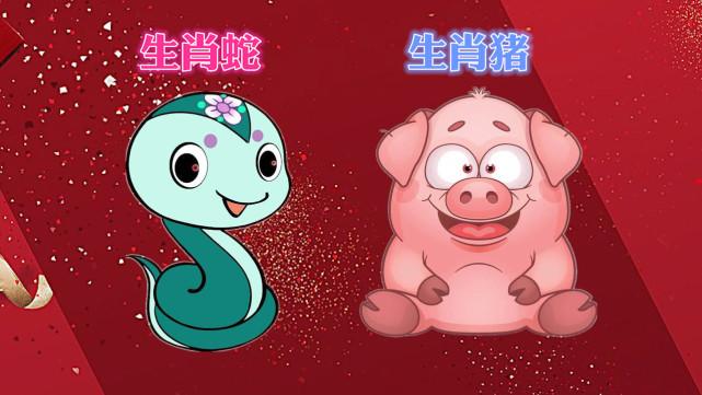 属蛇的人可以要猪宝宝吗