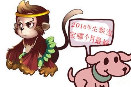 金猴几月出生命好