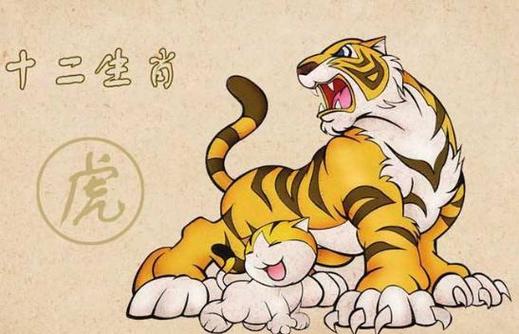 属虎男人的性格