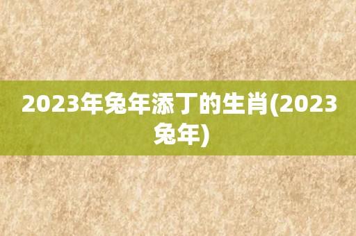 2023家有添丁之喜的几大生肖