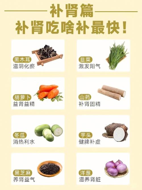 紫微看你吃什么最补肾
