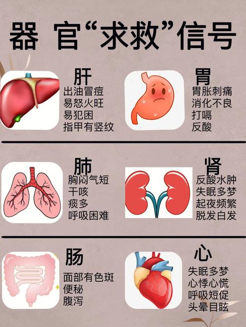 梦见肺肝意味着什么