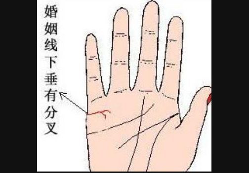 手相婚姻线分叉