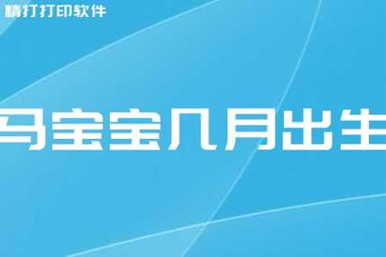 几月出生的马宝宝最好