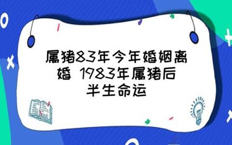 1983年属猪人婚姻坎坷,如何让婚姻更幸福
