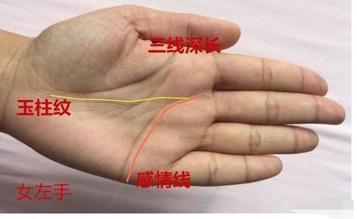 女人天柱纹富贵吗