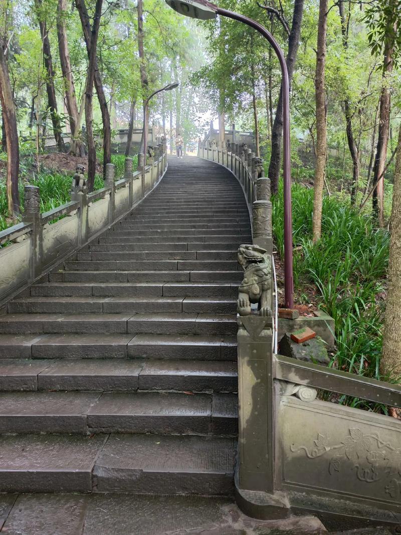 梦见一步一步上台阶有什么征兆