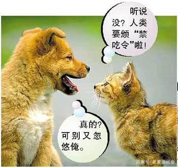 属狗不能吃狗肉是为啥