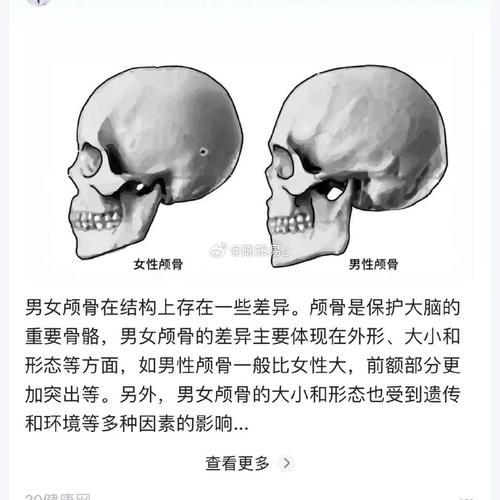 面相学看耳朵