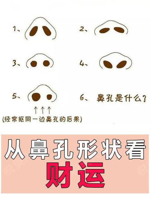 鼻孔的大小有哪些寓意吗