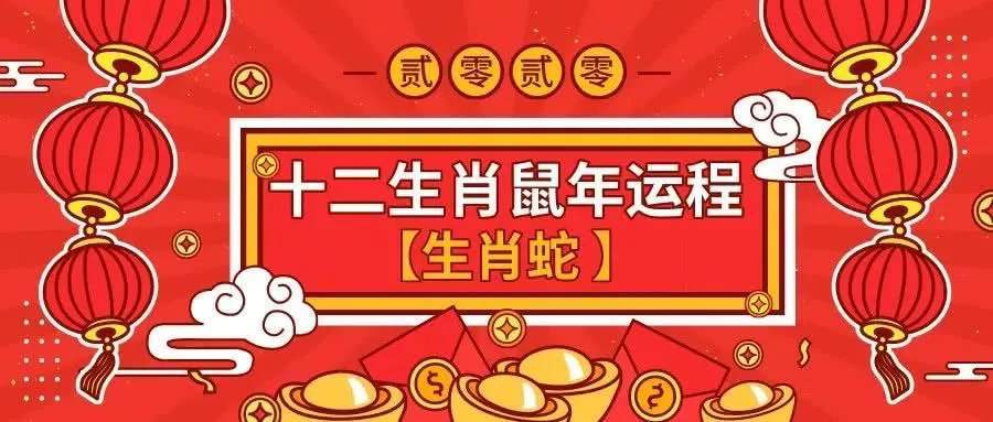 属蛇的年份有哪些,分析不同年份出生属蛇人的性格