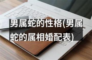 蛇男与哪个属相性格合