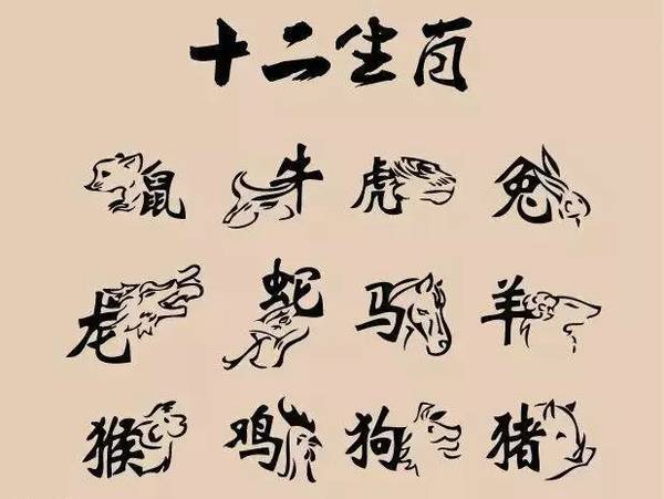 天资聪慧,运气爆棚,一生顺遂的生肖