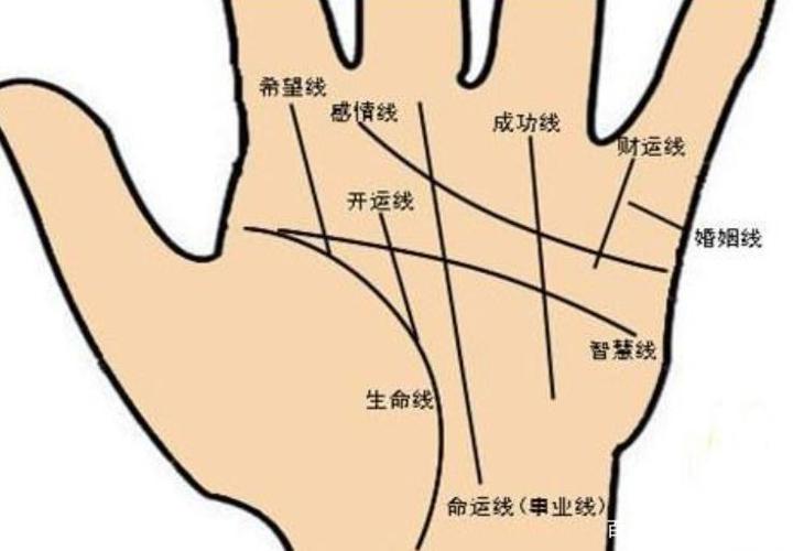 从斗和簸萁看财富爱情指数