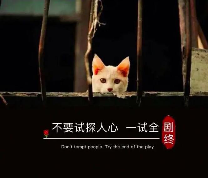 你可以对谁掏心掏肺