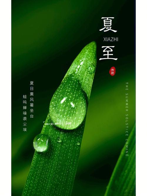 2020庚子鼠年夏至节气亥时出生的人是什么命?