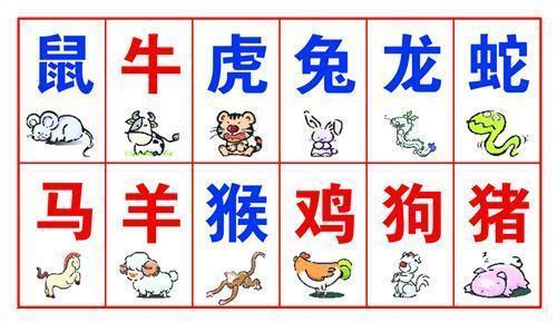 2019年属什么生肖?