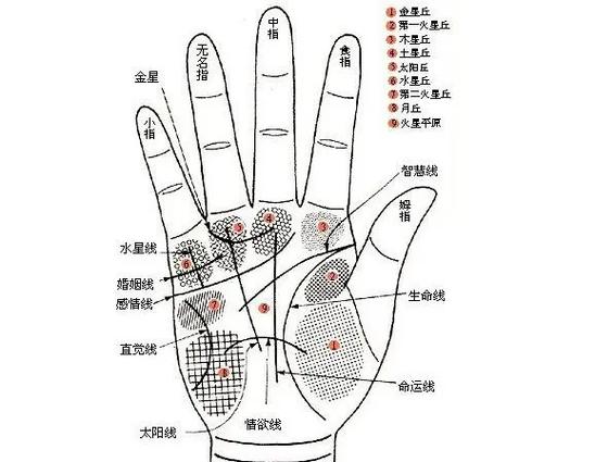 生命线和命运线相交代表着什么