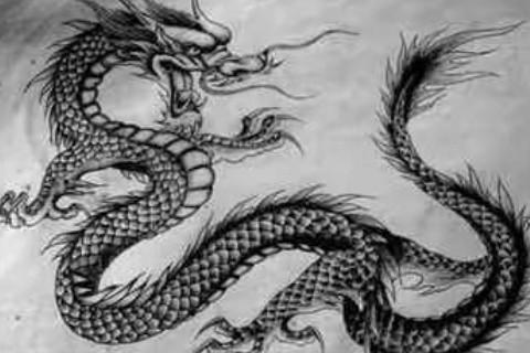 属龙人都是如何炫耀自己的生活的