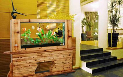 家居风水布局养鱼