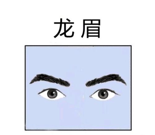 哪一种眉毛是发财眉