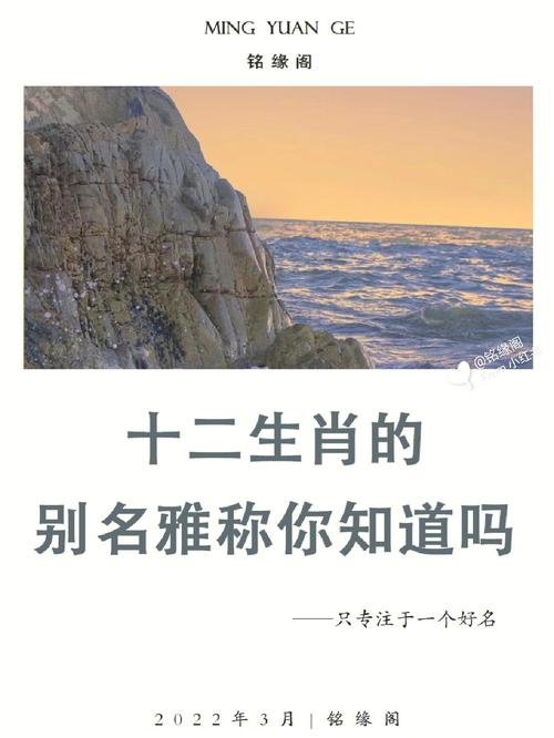 无缘分的生肖们