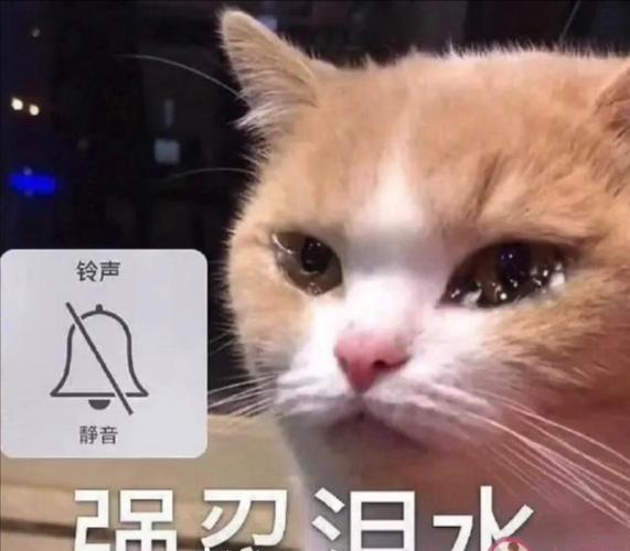 疲惫无助引人关注抖音名字心酸无奈