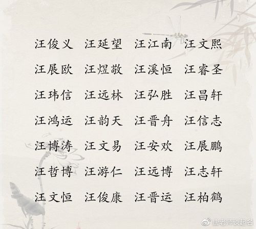 9月出生汪姓男宝宝名字