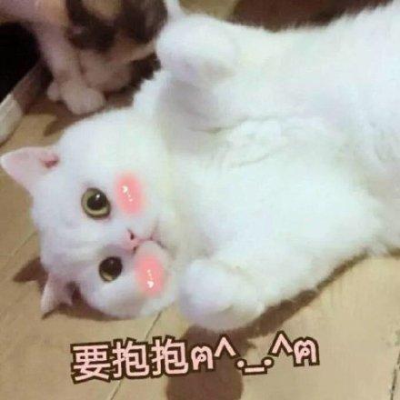 女友撒娇要抱抱