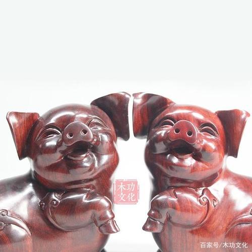 木猪年什么意思
