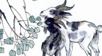 生肖猪6月首周红黑日分析