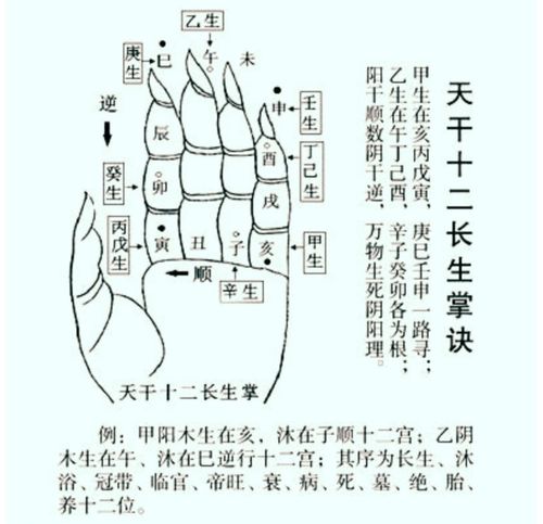盲派十神断命金口诀