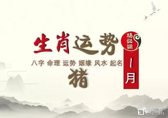 2019年属猪的人2019年运势怎么样