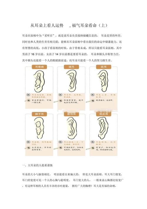 解析耳朵与人的性格和运势