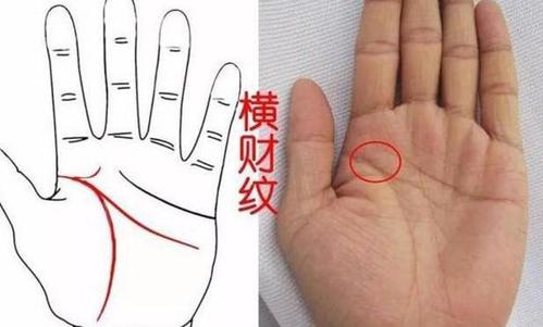 手掌钱财纹在哪