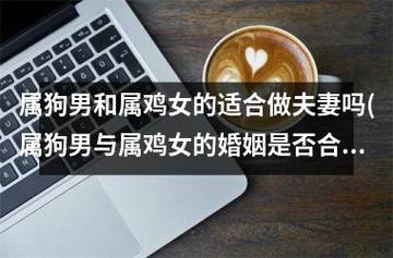 属鸡和属狗适合做夫妻吗?婚姻之事需多加考量