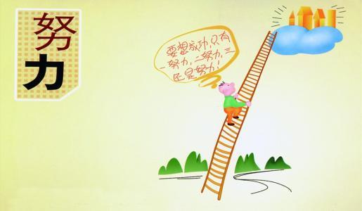 白天不努力的生肖