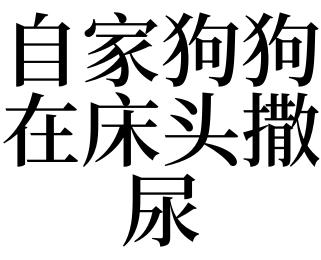 梦见狗撒尿在自己头上