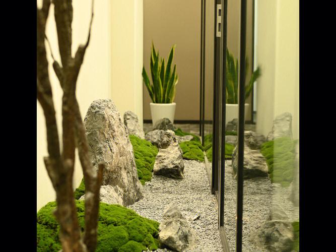 办公室植物怎么摆放会影响办公室的风水?