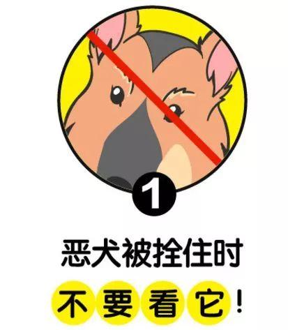 梦见疯狗乱咬人但是我没受伤好不好