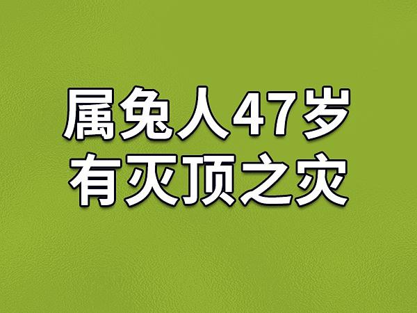 生肖兔44岁命苦有一灾