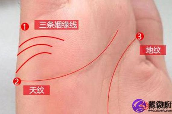 三条婚姻线的女人好吗